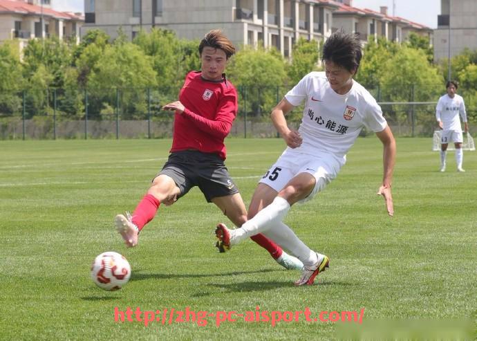 爱体育-法甲联赛最具商业价值的球队：品牌价值与市场潜力